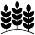 right-image-box