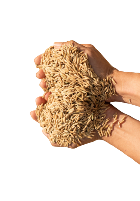 thumnails cabe
